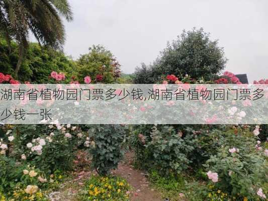 湖南省植物园门票多少钱,湖南省植物园门票多少钱一张