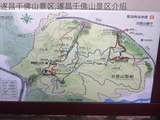 遂昌千佛山景区,遂昌千佛山景区介绍