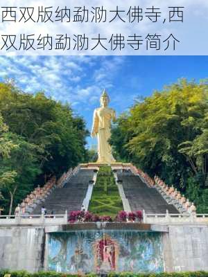 西双版纳勐泐大佛寺,西双版纳勐泐大佛寺简介