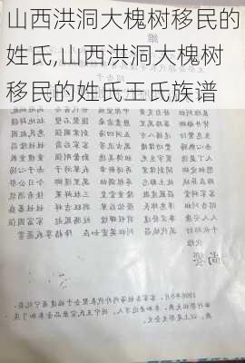 山西洪洞大槐树移民的姓氏,山西洪洞大槐树移民的姓氏王氏族谱