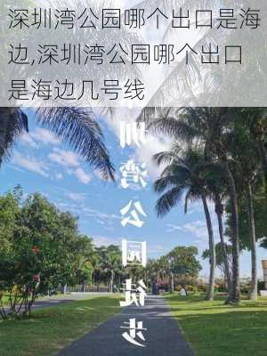 深圳湾公园哪个出口是海边,深圳湾公园哪个出口是海边几号线