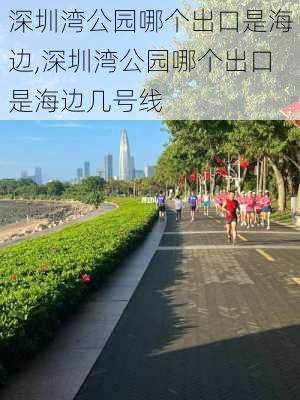 深圳湾公园哪个出口是海边,深圳湾公园哪个出口是海边几号线