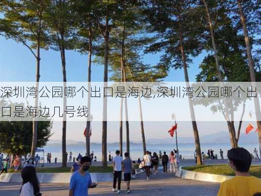 深圳湾公园哪个出口是海边,深圳湾公园哪个出口是海边几号线