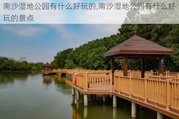 南沙湿地公园有什么好玩的,南沙湿地公园有什么好玩的景点