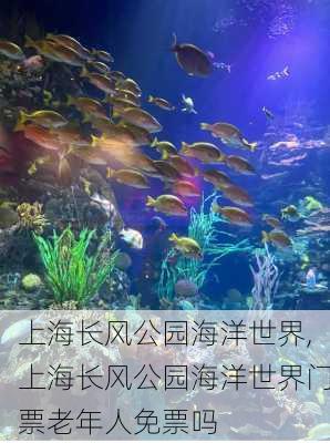 上海长风公园海洋世界,上海长风公园海洋世界门票老年人免票吗