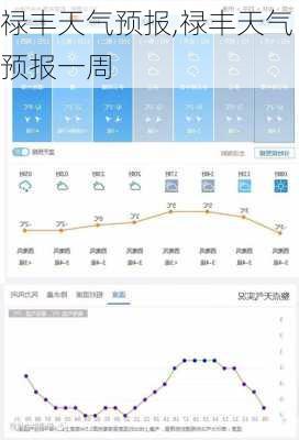 禄丰天气预报,禄丰天气预报一周