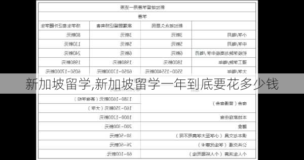 新加坡留学,新加坡留学一年到底要花多少钱