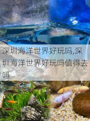 深圳海洋世界好玩吗,深圳海洋世界好玩吗值得去吗