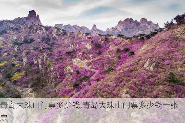 青岛大珠山门票多少钱,青岛大珠山门票多少钱一张票