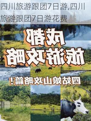 四川旅游跟团7日游,四川旅游跟团7日游花费