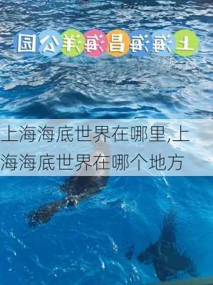 上海海底世界在哪里,上海海底世界在哪个地方