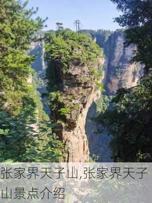 张家界天子山,张家界天子山景点介绍