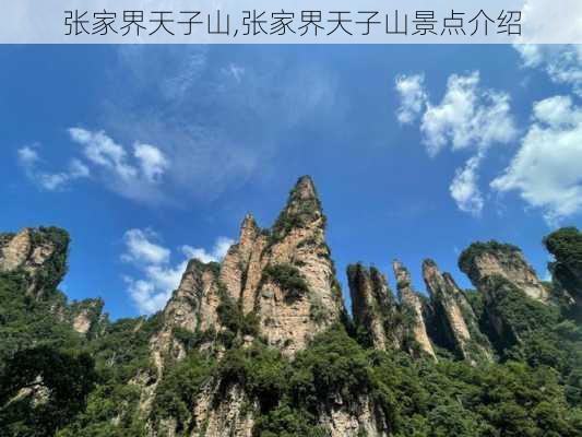 张家界天子山,张家界天子山景点介绍