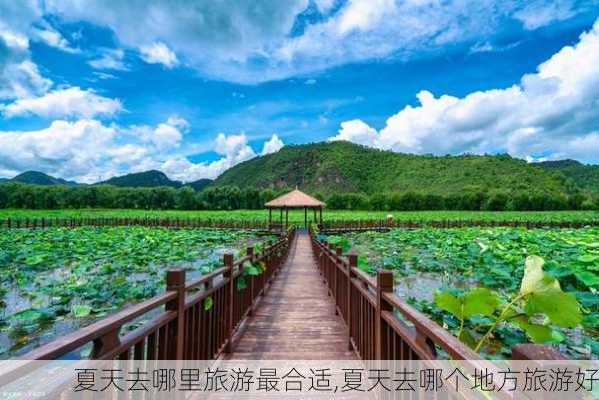 夏天去哪里旅游最合适,夏天去哪个地方旅游好