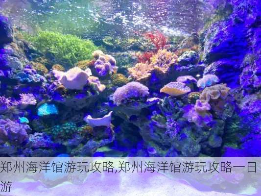 郑州海洋馆游玩攻略,郑州海洋馆游玩攻略一日游