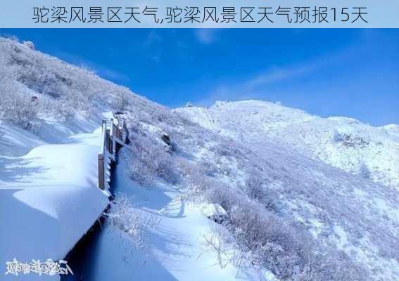 驼梁风景区天气,驼梁风景区天气预报15天