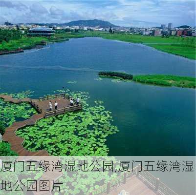 厦门五缘湾湿地公园,厦门五缘湾湿地公园图片