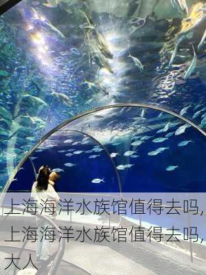 上海海洋水族馆值得去吗,上海海洋水族馆值得去吗,大人