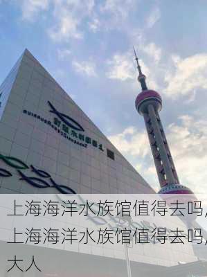 上海海洋水族馆值得去吗,上海海洋水族馆值得去吗,大人