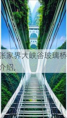 张家界大峡谷玻璃桥介绍,