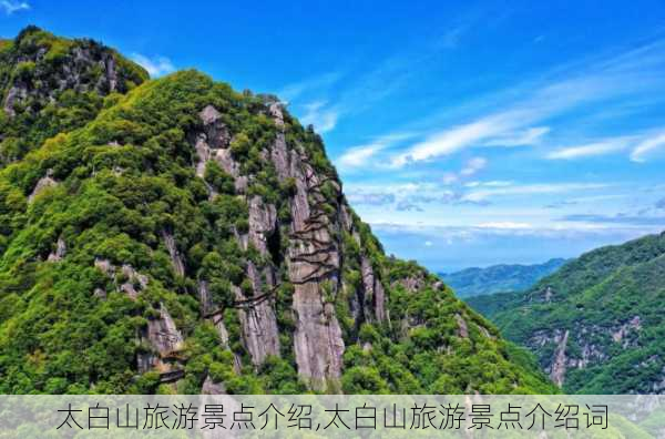 太白山旅游景点介绍,太白山旅游景点介绍词