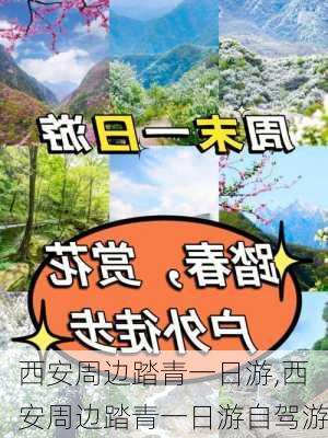 西安周边踏青一日游,西安周边踏青一日游自驾游