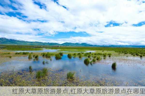 红原大草原旅游景点,红原大草原旅游景点在哪里