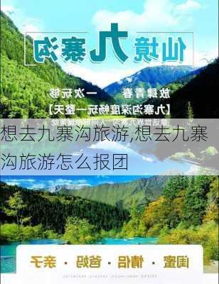 想去九寨沟旅游,想去九寨沟旅游怎么报团