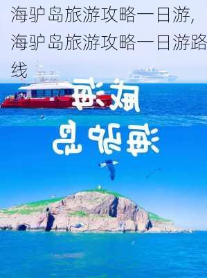 海驴岛旅游攻略一日游,海驴岛旅游攻略一日游路线