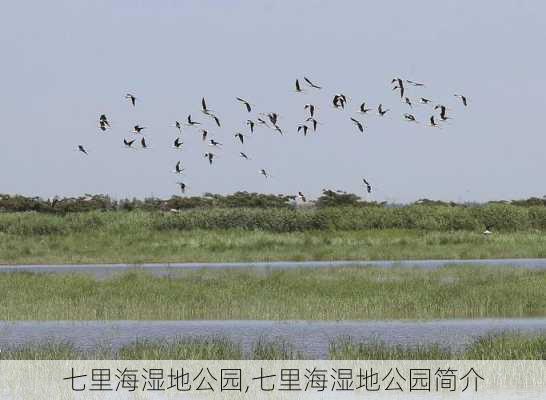 七里海湿地公园,七里海湿地公园简介