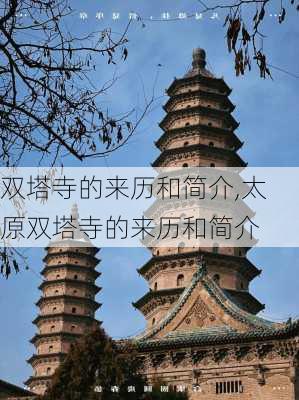 双塔寺的来历和简介,太原双塔寺的来历和简介