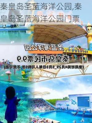 秦皇岛圣蓝海洋公园,秦皇岛圣蓝海洋公园门票