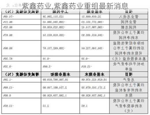 紫鑫药业,紫鑫药业重组最新消息