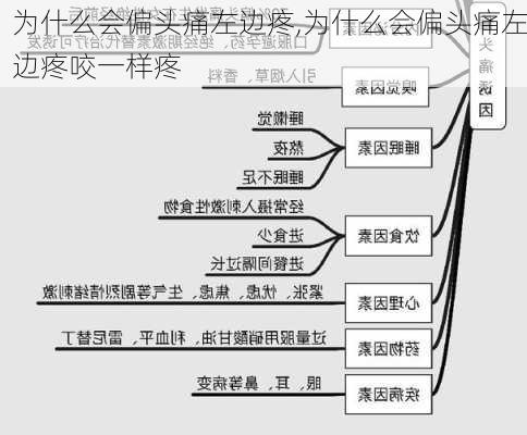 为什么会偏头痛左边疼,为什么会偏头痛左边疼咬一样疼