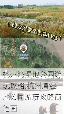 杭州湾湿地公园游玩攻略,杭州湾湿地公园游玩攻略简笔画