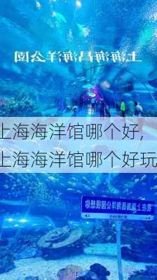 上海海洋馆哪个好,上海海洋馆哪个好玩