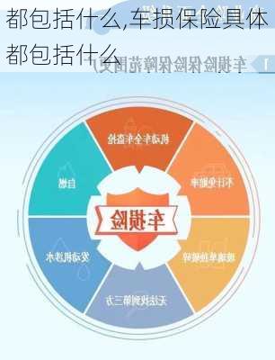 都包括什么,车损保险具体都包括什么