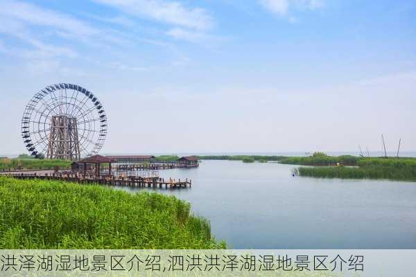 洪泽湖湿地景区介绍,泗洪洪泽湖湿地景区介绍