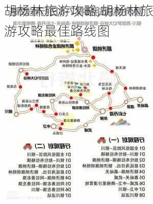 胡杨林旅游攻略,胡杨林旅游攻略最佳路线图