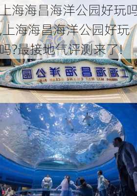 上海海昌海洋公园好玩吗,上海海昌海洋公园好玩吗?最接地气评测来了!