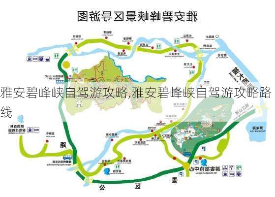 雅安碧峰峡自驾游攻略,雅安碧峰峡自驾游攻略路线