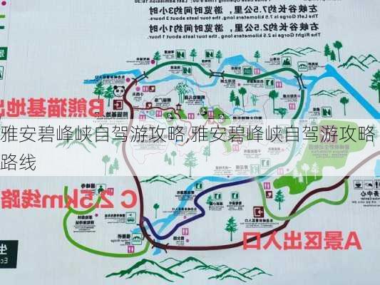 雅安碧峰峡自驾游攻略,雅安碧峰峡自驾游攻略路线