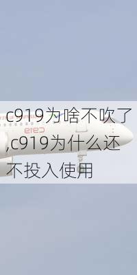 c919为啥不吹了,c919为什么还不投入使用