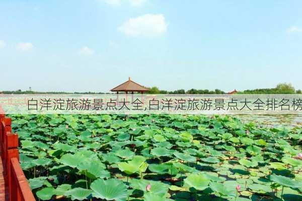 白洋淀旅游景点大全,白洋淀旅游景点大全排名榜