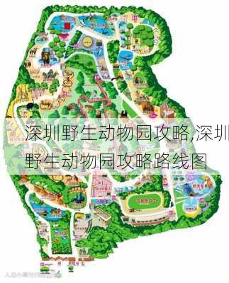 深圳野生动物园攻略,深圳野生动物园攻略路线图