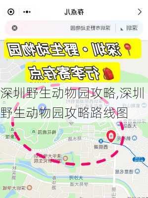 深圳野生动物园攻略,深圳野生动物园攻略路线图