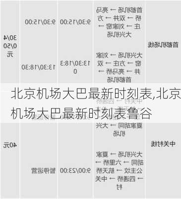 北京机场大巴最新时刻表,北京机场大巴最新时刻表鲁谷