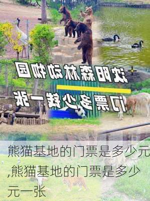 熊猫基地的门票是多少元,熊猫基地的门票是多少元一张