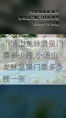 小汤山龙脉温泉门票多少钱,小汤山龙脉温泉门票多少钱一张