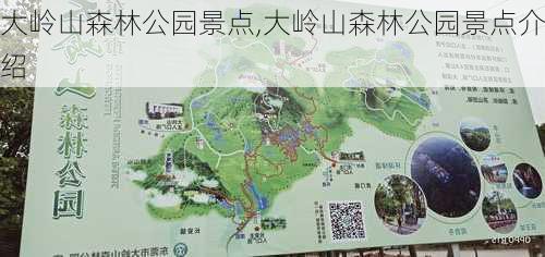 大岭山森林公园景点,大岭山森林公园景点介绍